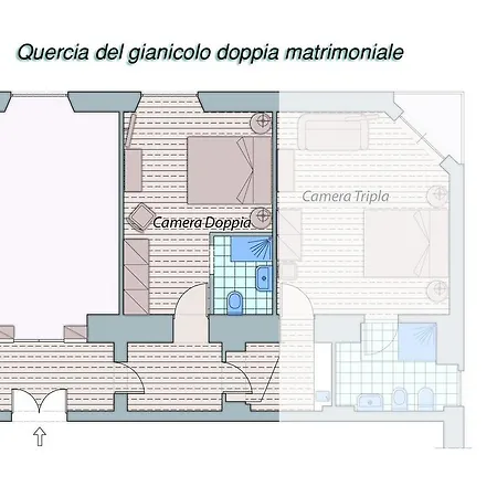 Quercia Del Gianicolo *